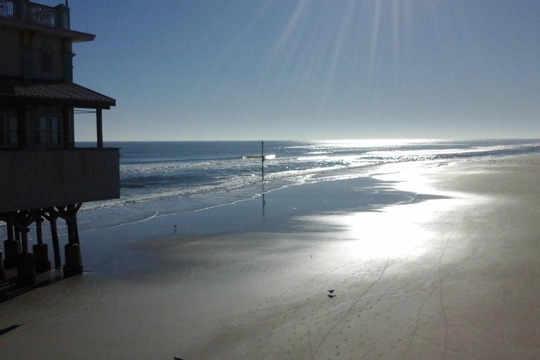 Photo of Others in Port Orange