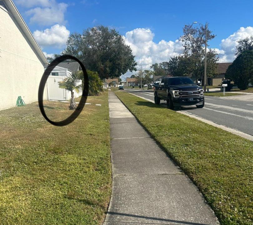 Photo of Others in Carrollwood