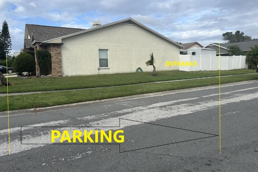 Photo of Others in Carrollwood