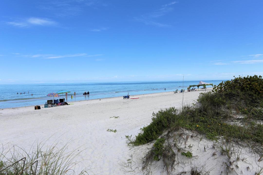 Photo of Others in Indian Rocks Beach