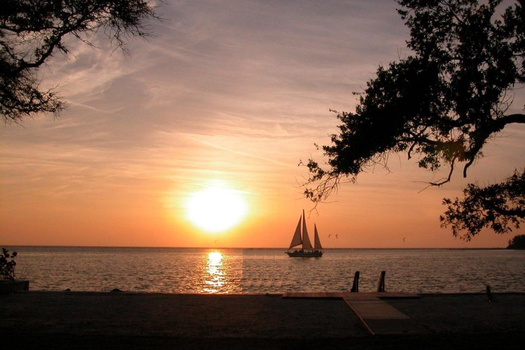 Photo of Others in Anna Maria