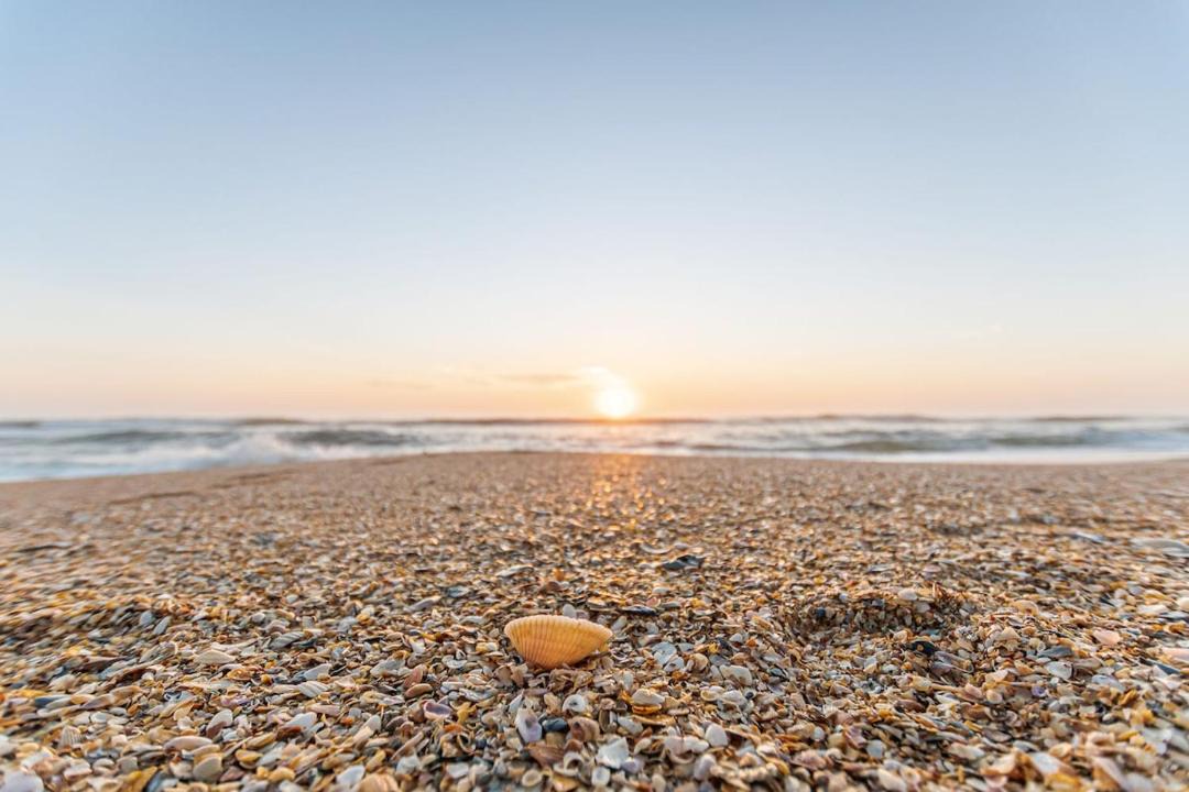 Photo of Others in Crescent Beach
