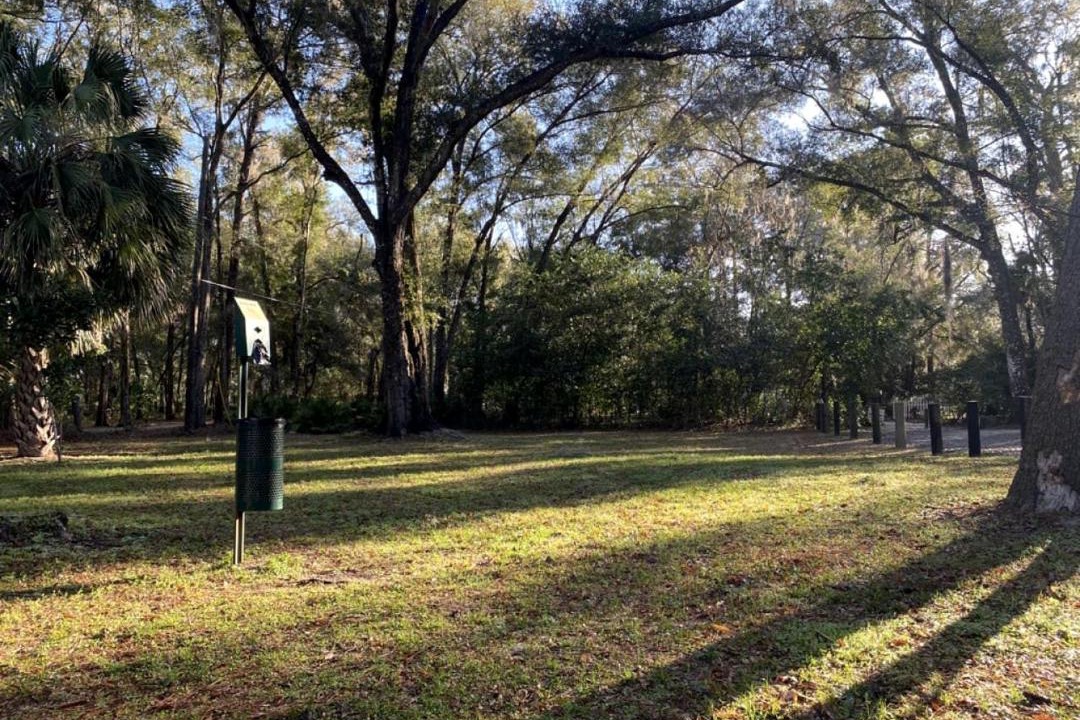Photo of Others in Dunnellon