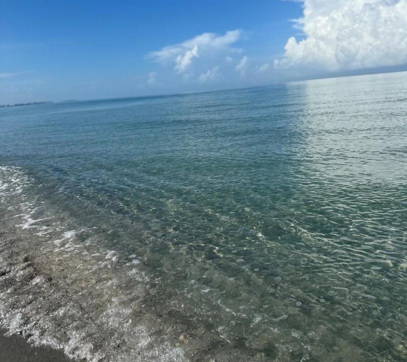 Photo of Others in Bonita Springs
