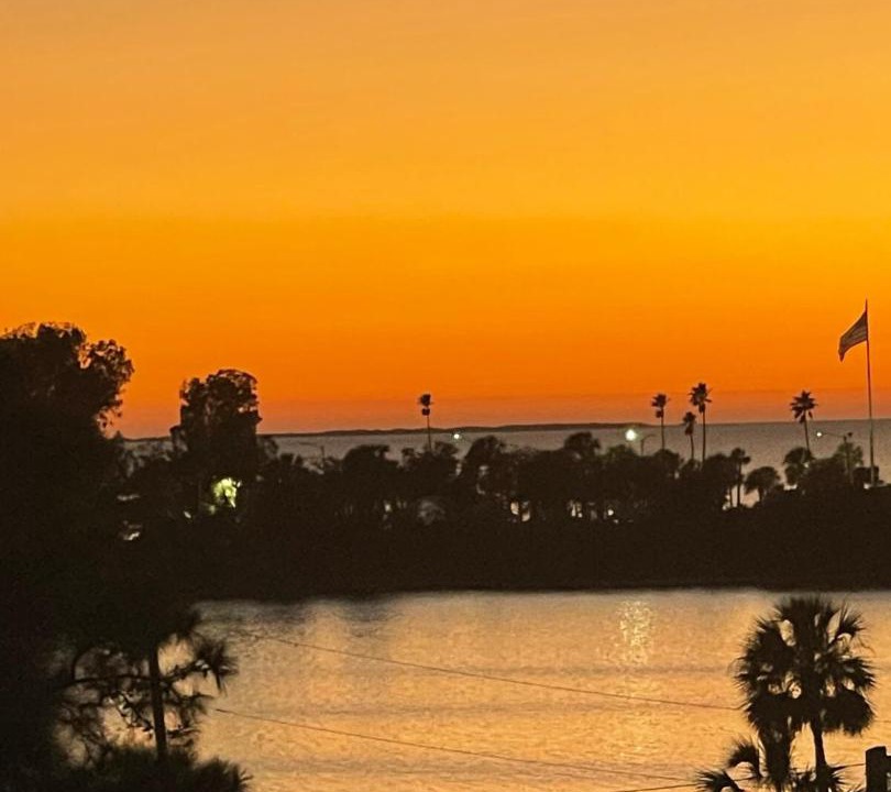 Photo of Others in Tarpon Springs