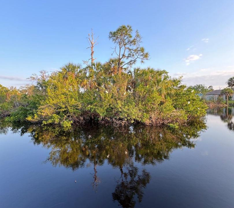 Photo of Others in Charlotte Harbor