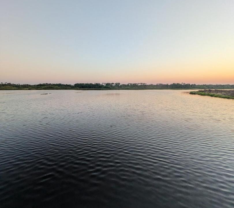 Photo of Others in Braden River