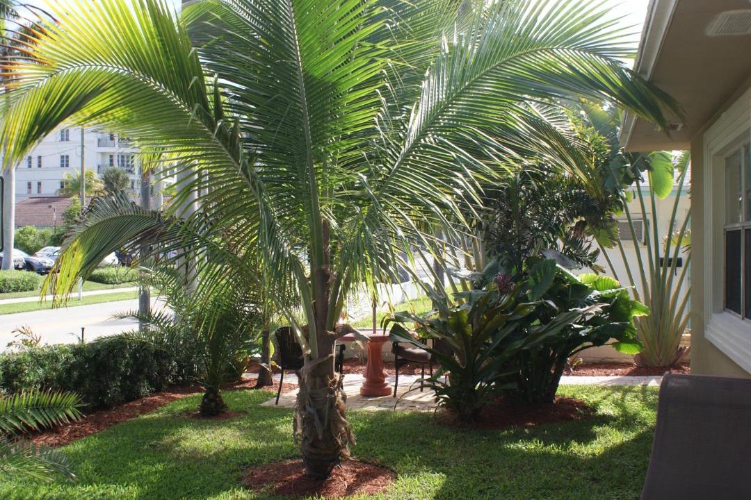 Photo of Others in Palm Beach Shores