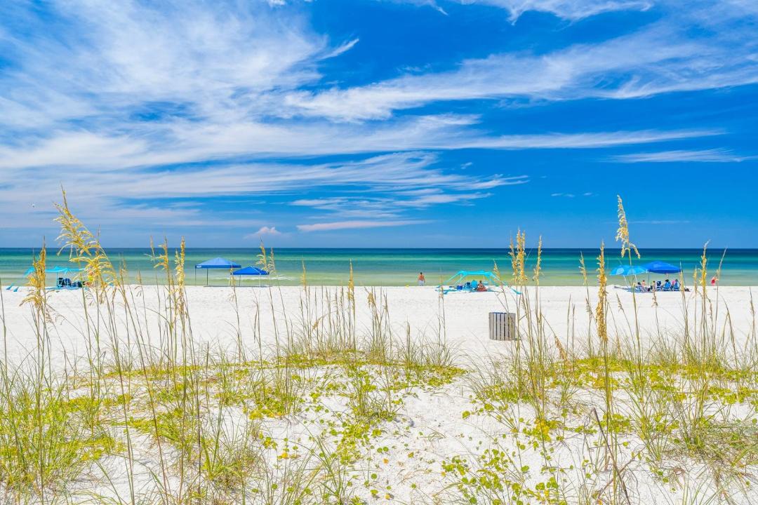Photo of Others in West Panama City Beach