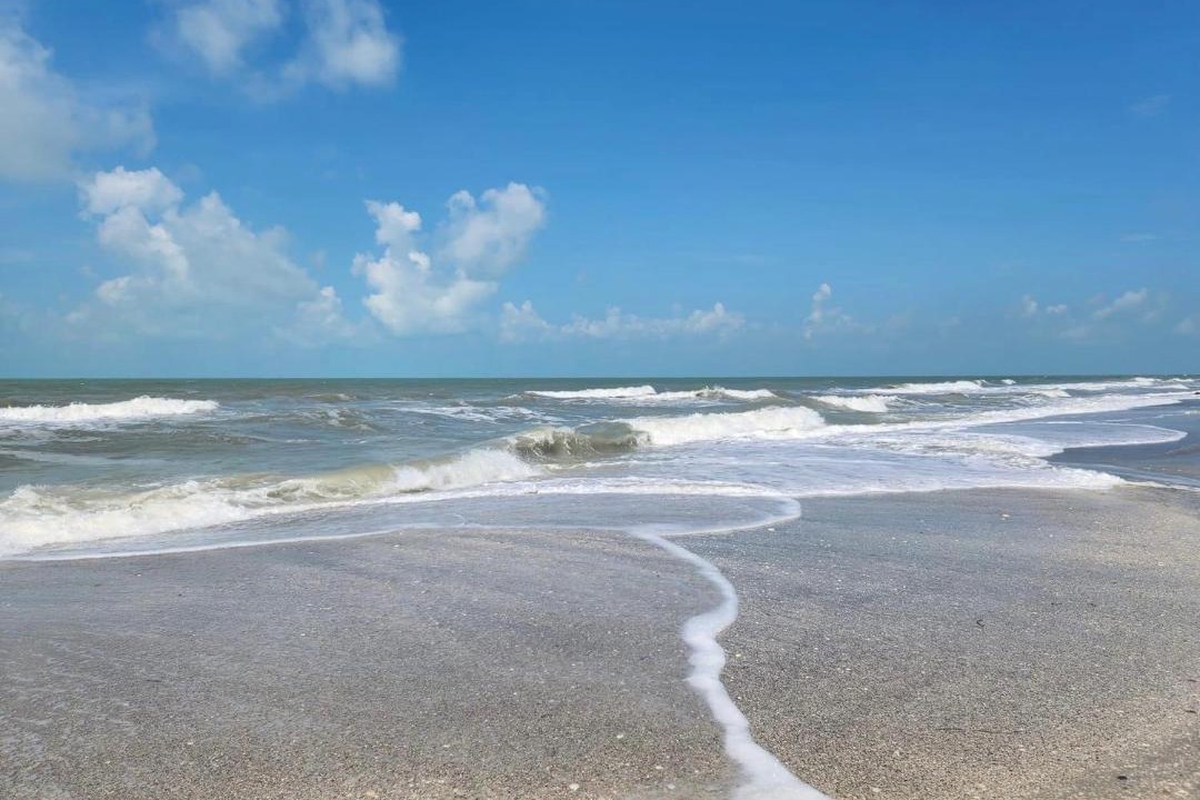Photo of Others in Port Charlotte