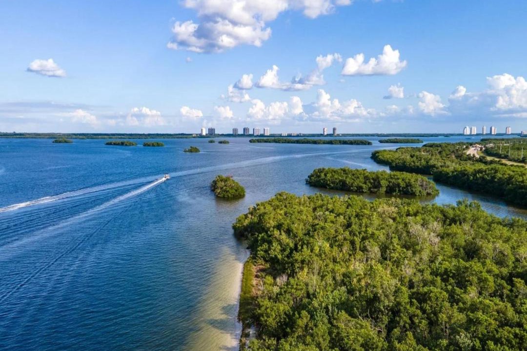 Photo of Others in Fort Myers Beach