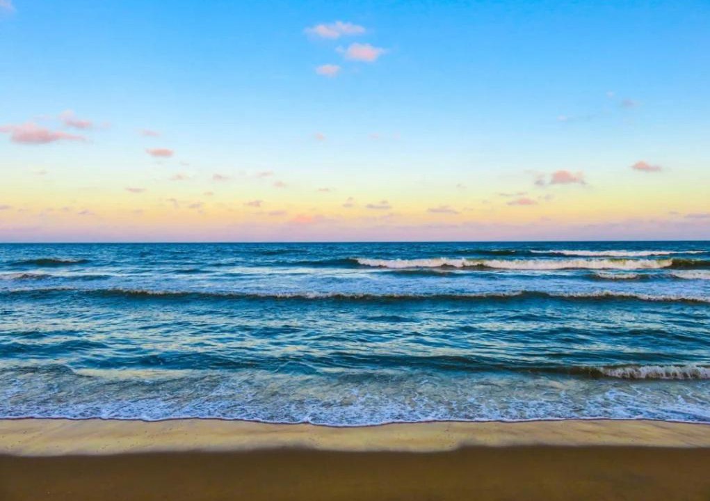 Photo of Others in Fort Myers Beach
