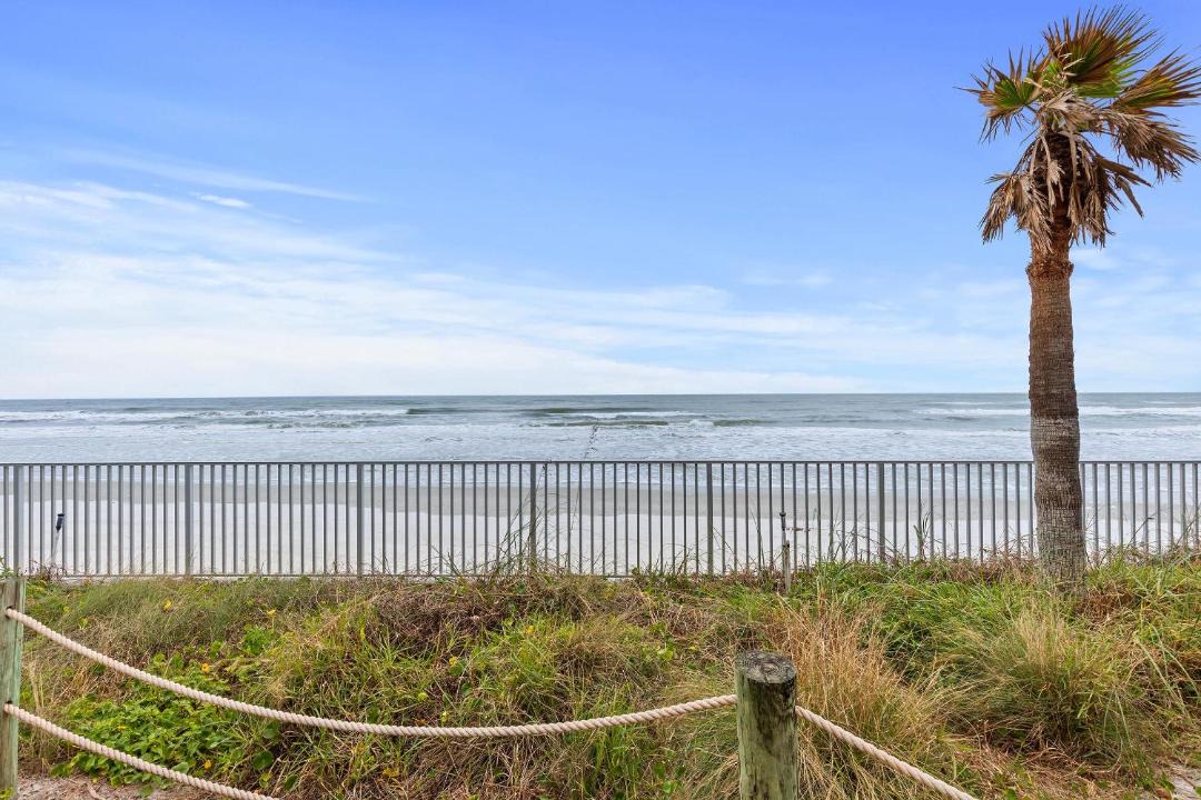 Photo of Others in New Smyrna Beach