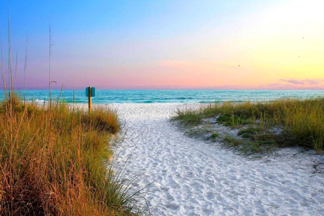 Photo of Others in Sarasota