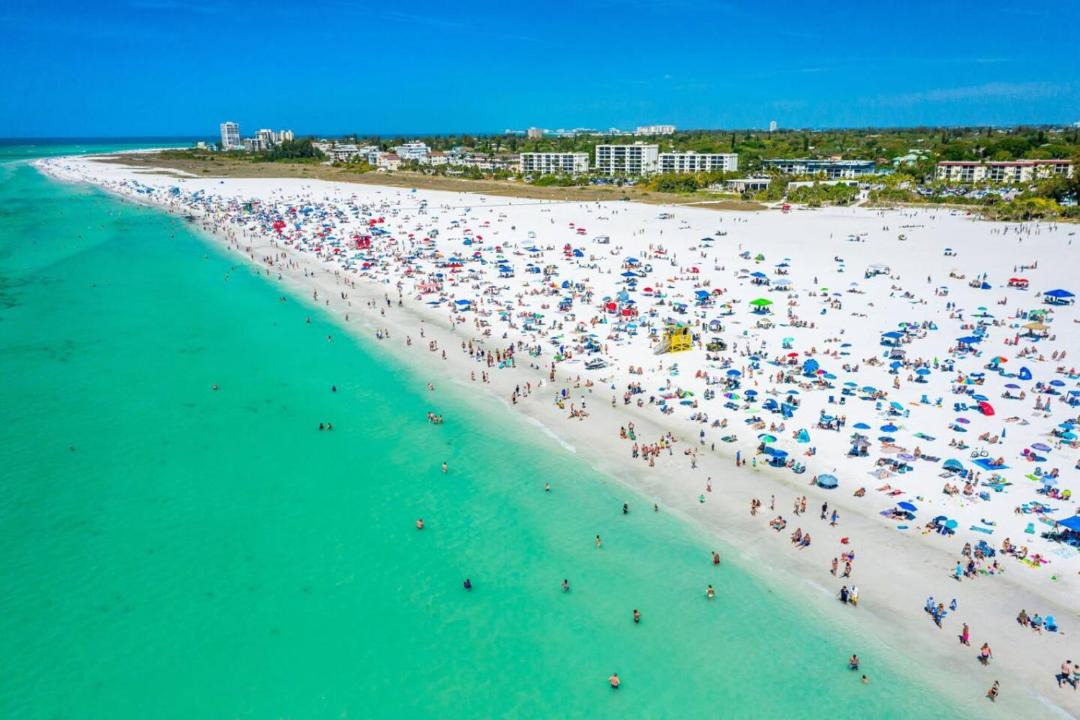 Photo of Others in Sarasota