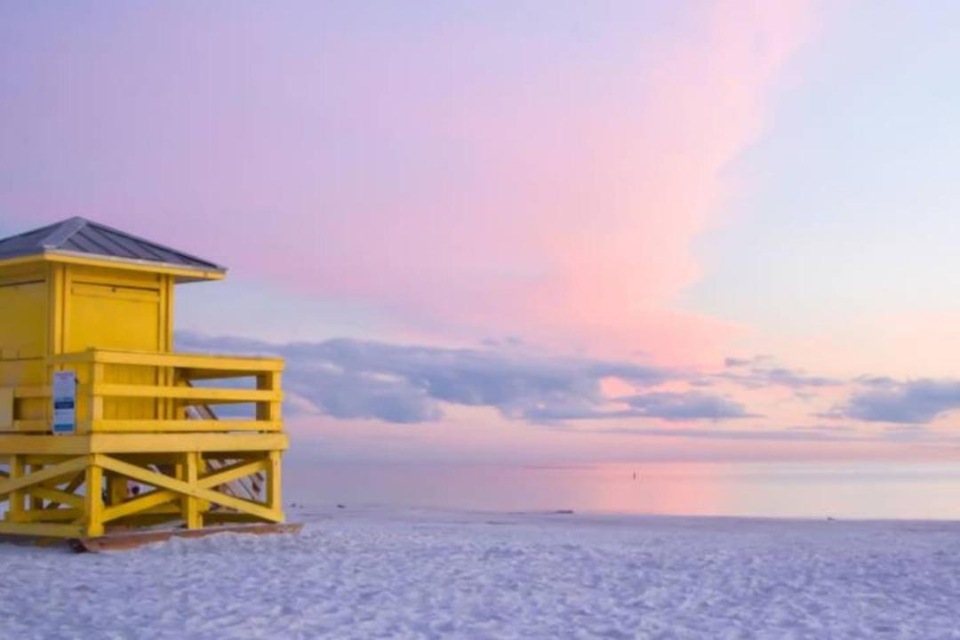 Photo of Others in Sarasota