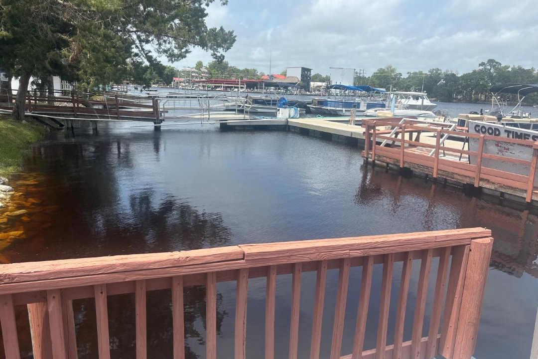 Photo of Others in Steinhatchee