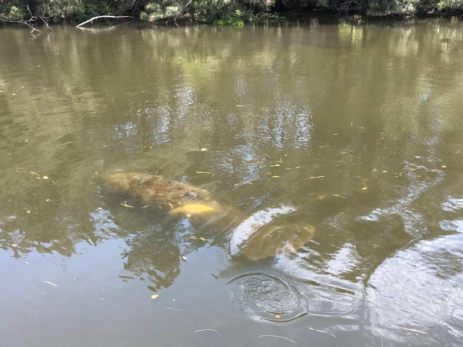 Photo of Others in New Port Richey