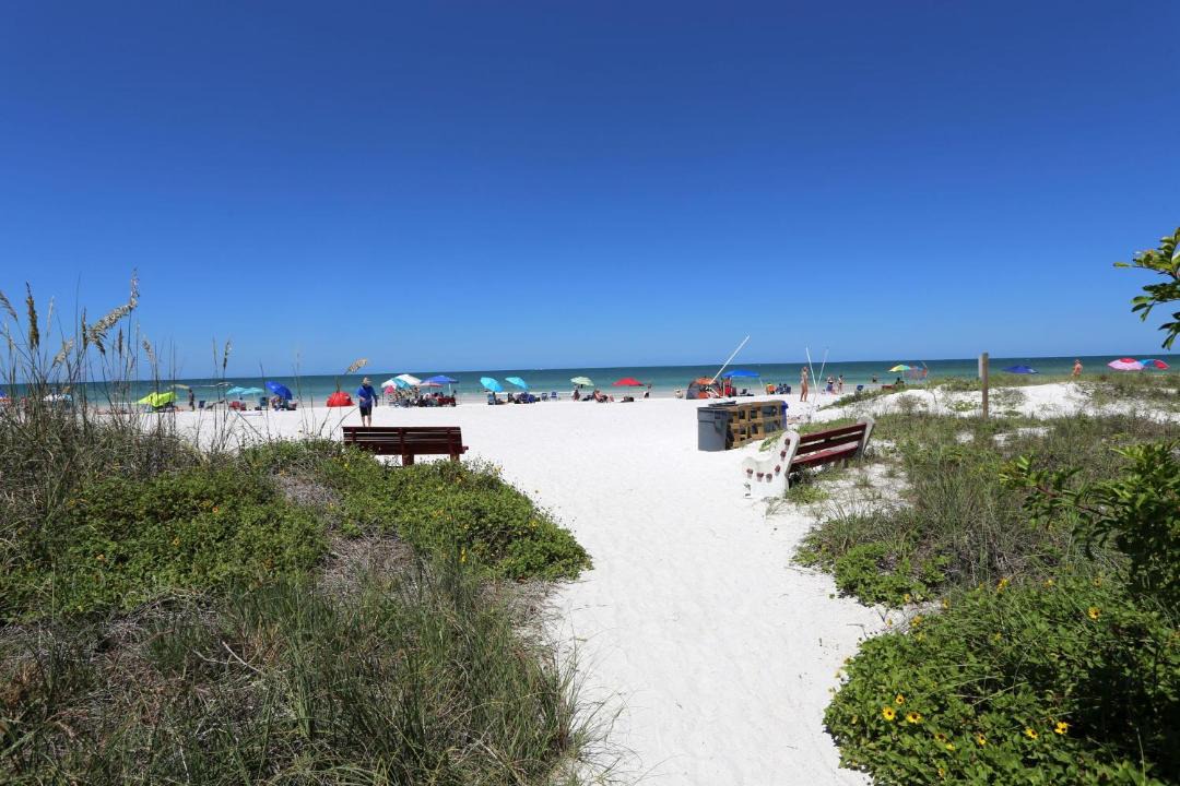 Photo of Others in Indian Shores