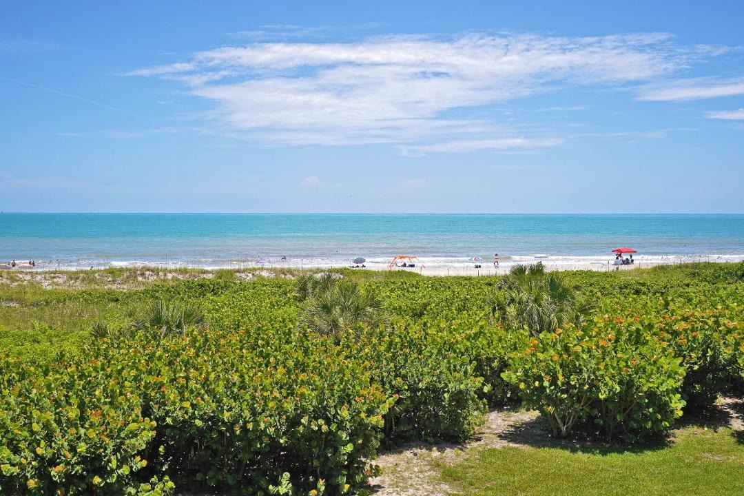 Photo of Others in Port Canaveral