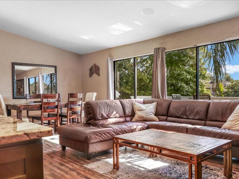 Photo of Livingroom in Palm Harbor