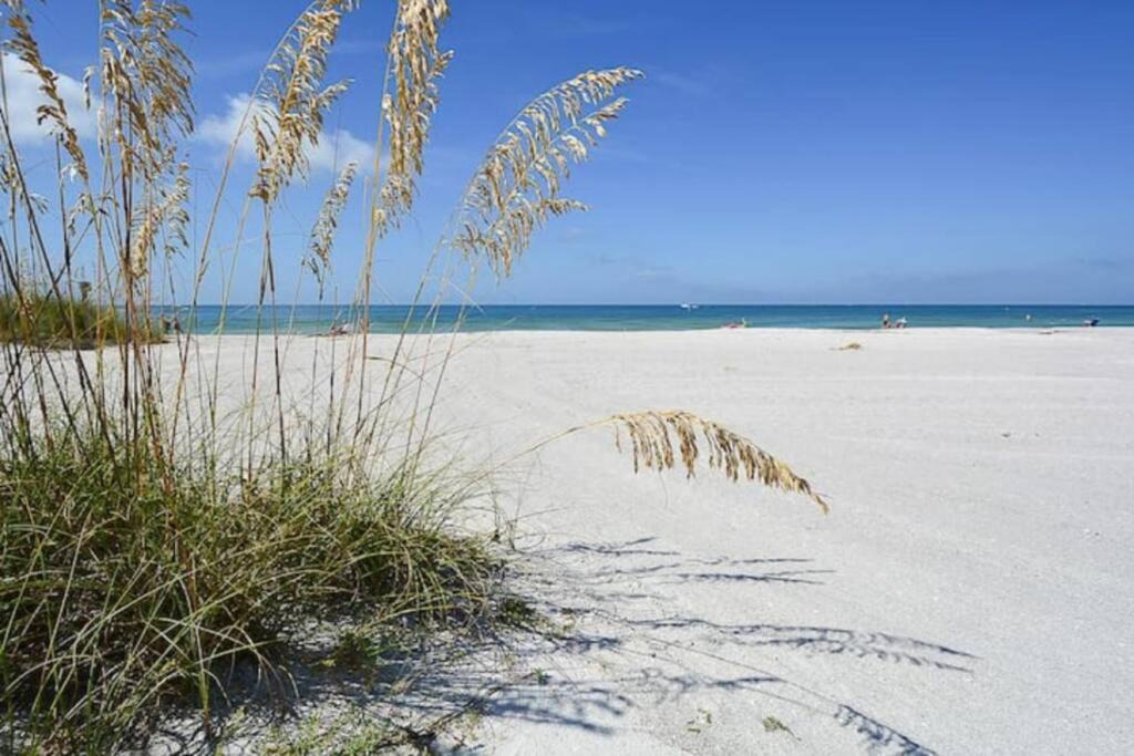 Photo of Others in Indian Rocks Beach