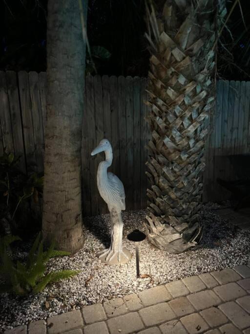 Photo of Others in Indian Rocks Beach