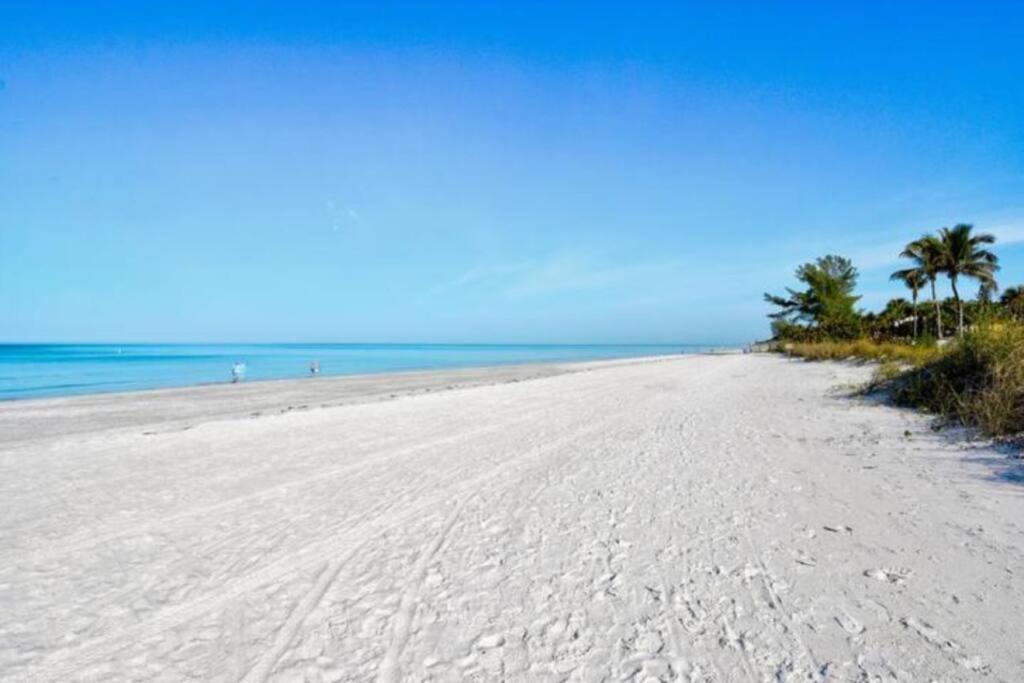 Photo of Others in Indian Rocks Beach