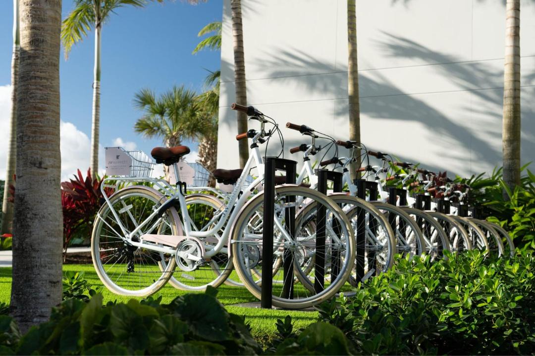 Photo of Others in Clearwater Beach