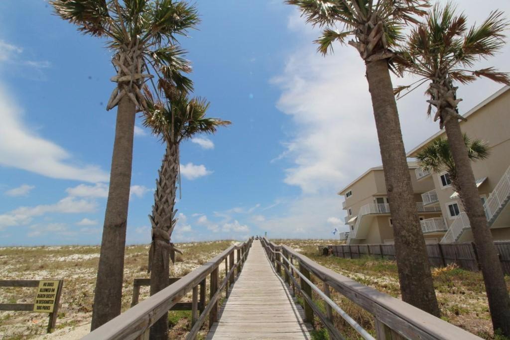 Photo of Others in Pensacola Beach