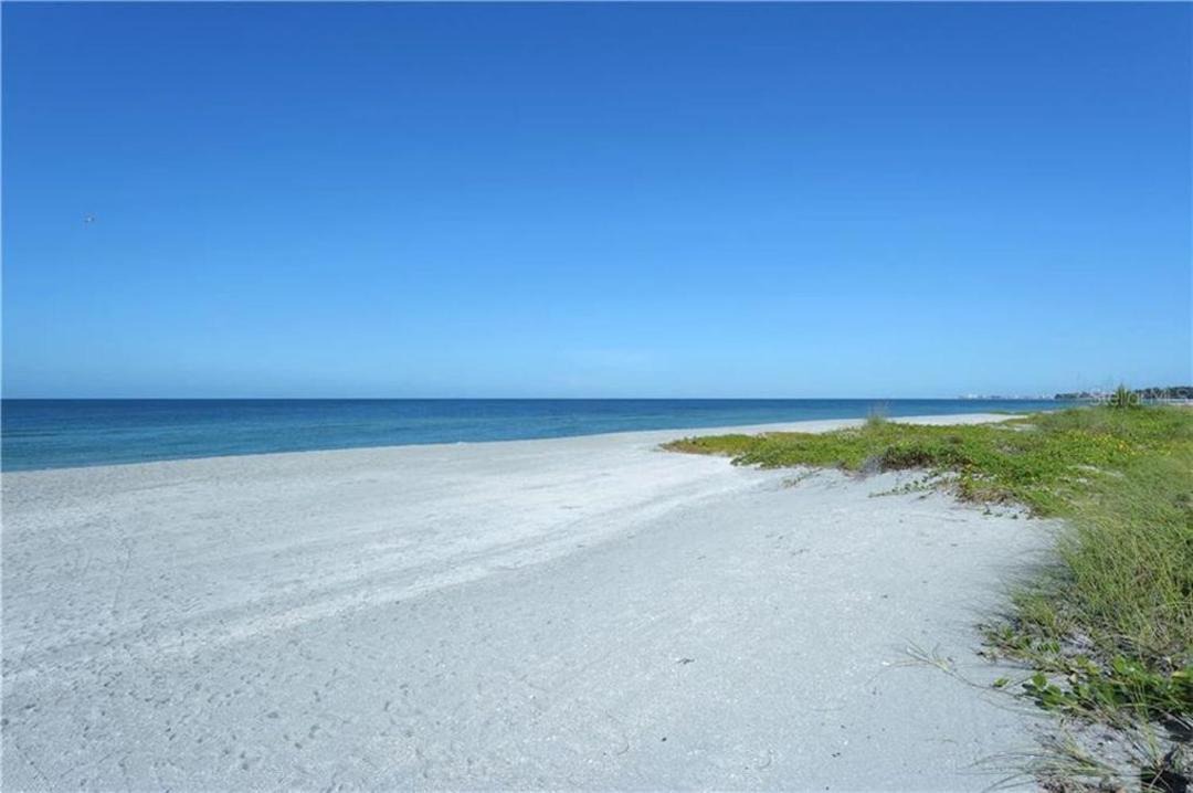 Photo of Outdoor in Siesta Key