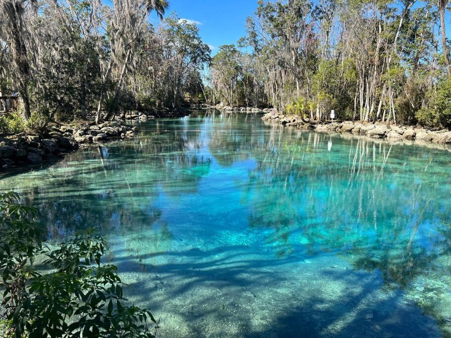 Photo of Others in Crystal River