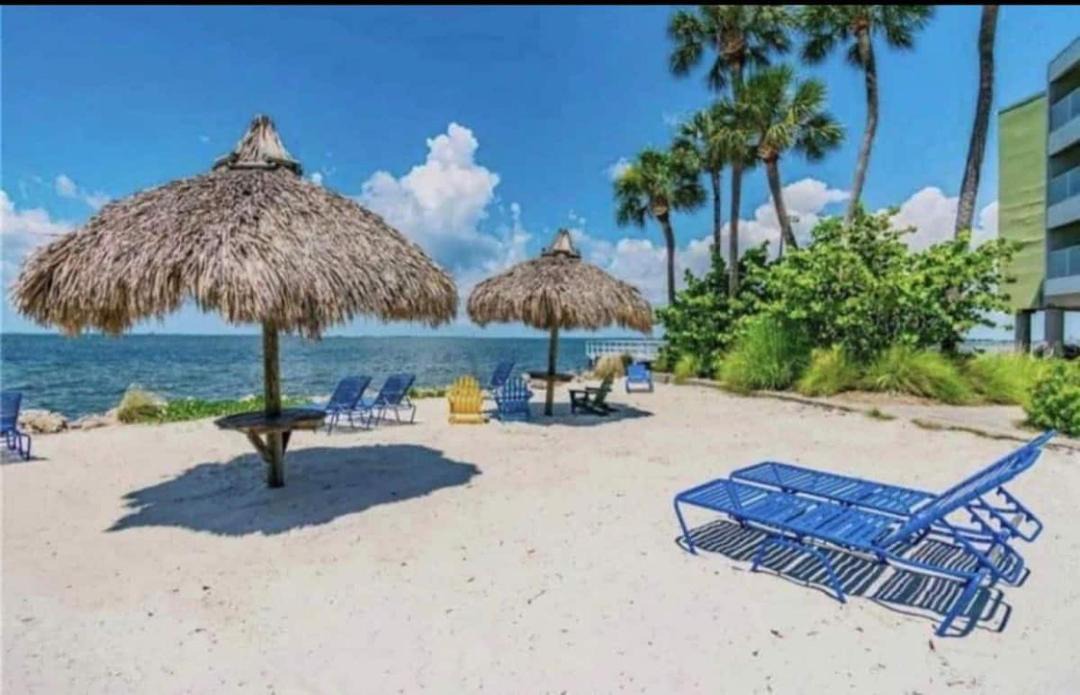 Photo of Others in Rocky Point