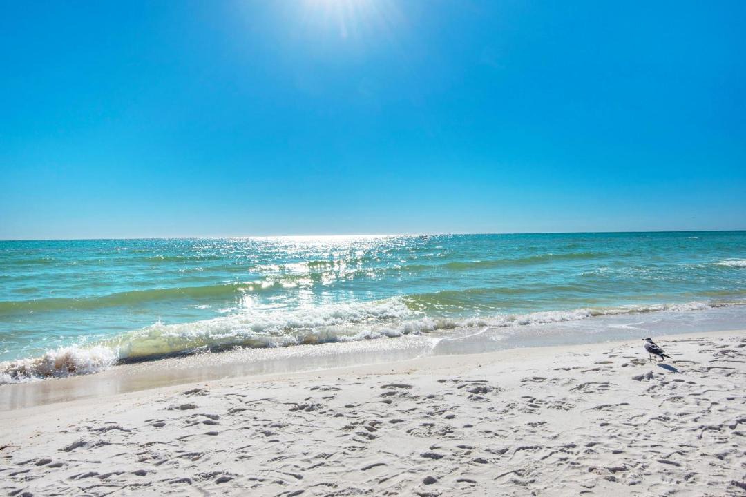 Photo of Others in Panama City Beach
