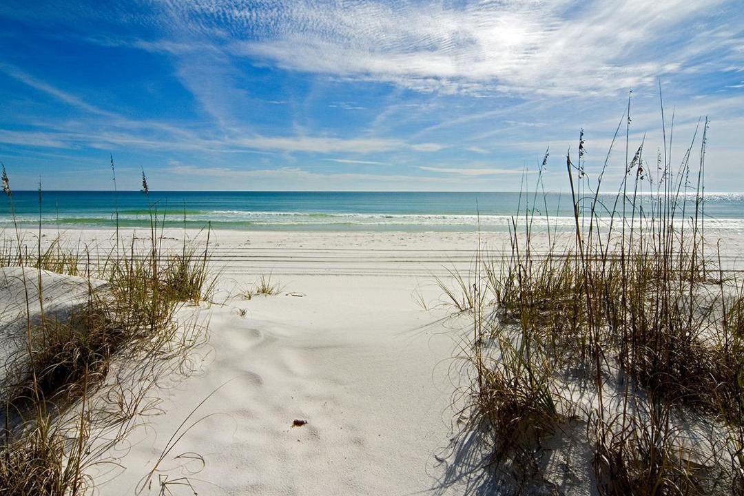 Photo of Others in Seagrove Beach