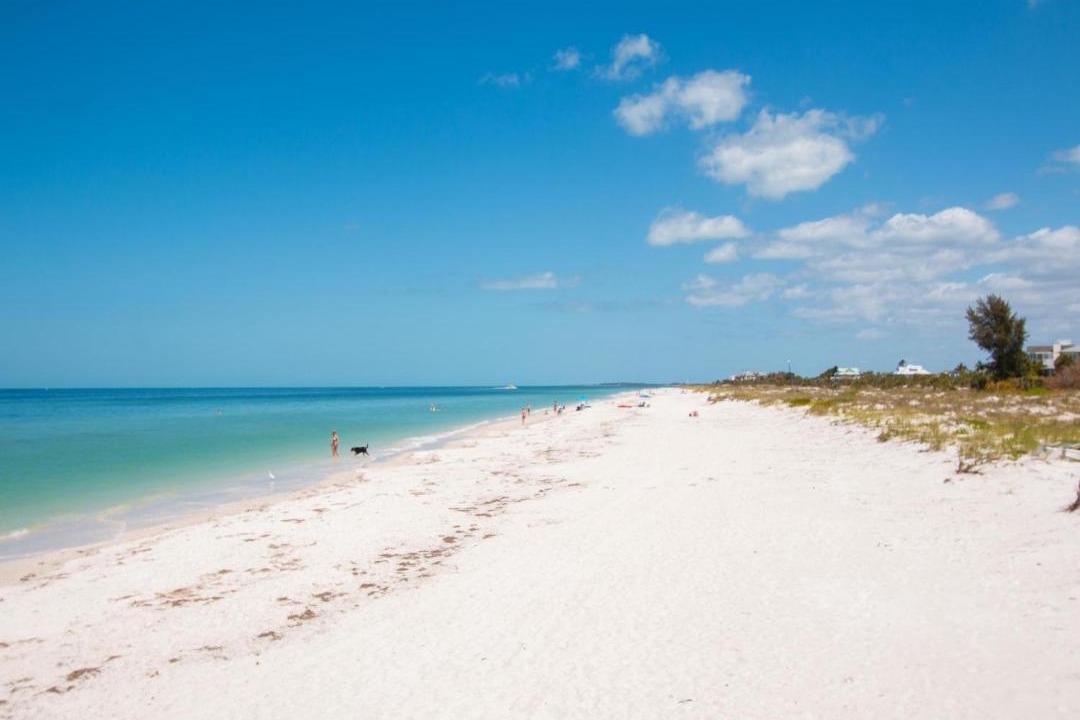 Photo of Others in Belleair Beach