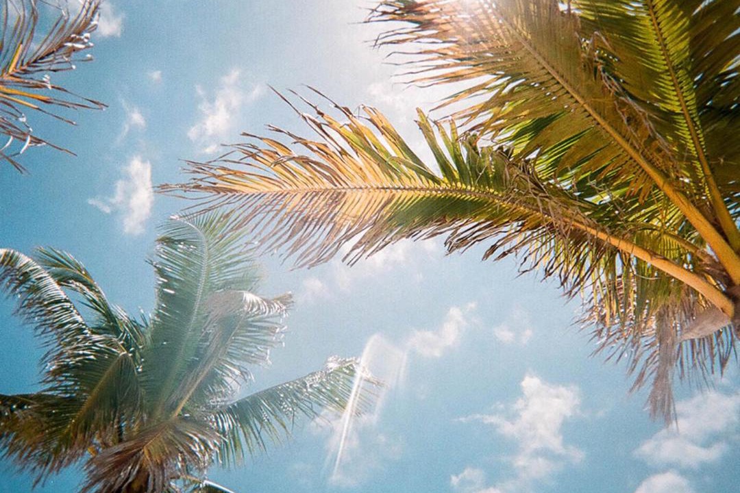 Photo of Outdoor in Florida Central Atlantic Coast