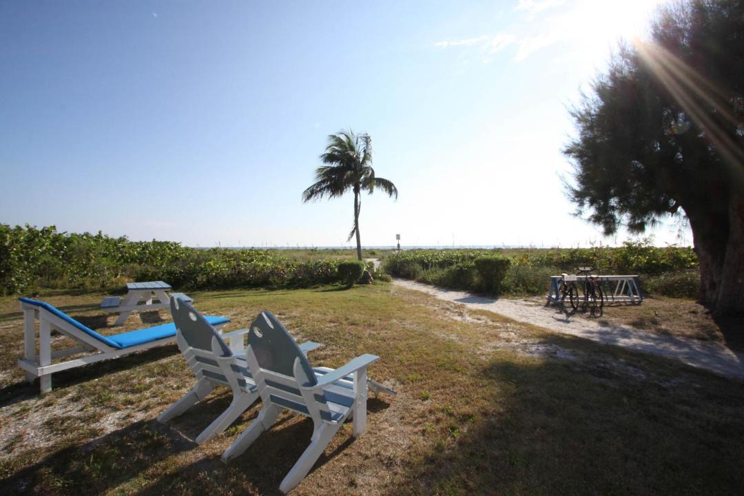 Photo of Others in Tradewinds
