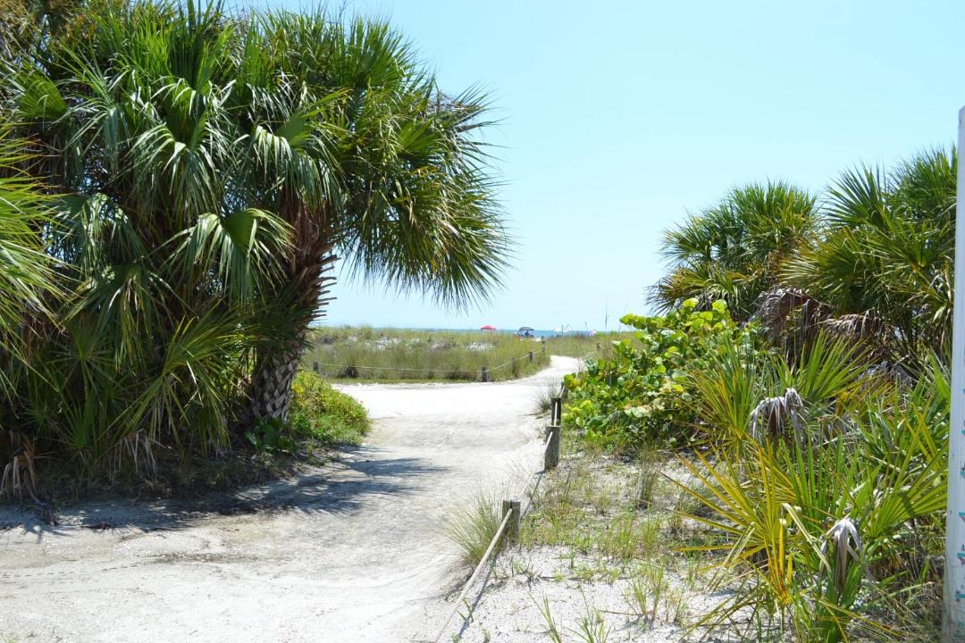 Photo of Others in Siesta Key