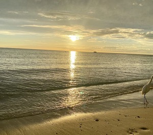 The Beach Moorings 