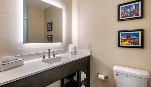 Suite, 1 King Bed with Sofa bed, Non Smoking