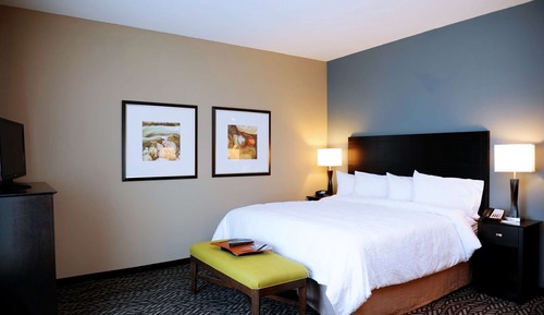 Room, 1 King Bed, Accessible, Non Smoking