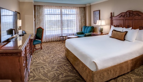 Room, 1 King Bed