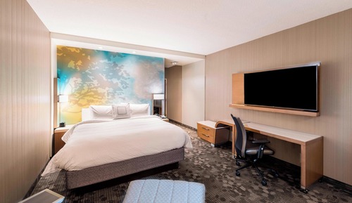 Room, 1 King Bed with Sofa bed