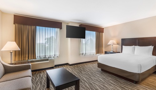 Standard Room, 1 Queen Bed, Non Smoking, Refrigerator & Microwave
