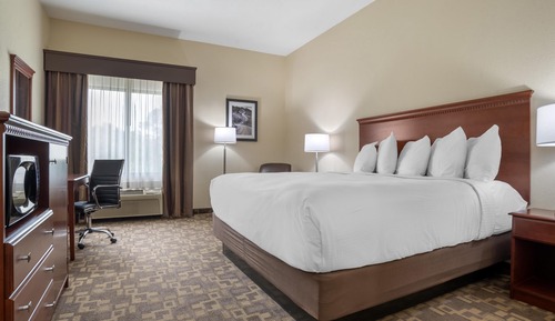 Standard Room, 1 King Bed, Non Smoking, Refrigerator & Microwave