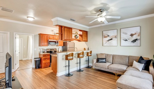 Apartment (3 Bedrooms)