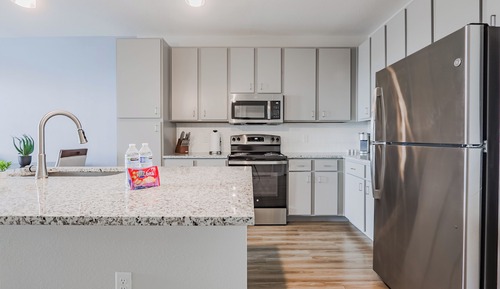 Apartment (1 Bedroom)