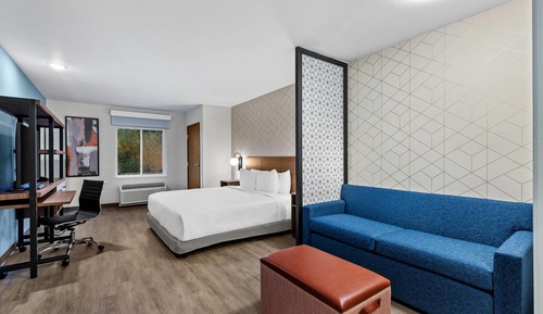 Suite, 1 King Bed, Non Smoking (Efficiency)