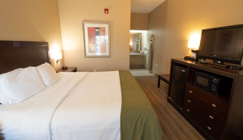 Room, 1 King Bed, Accessible, Non Smoking (Tub with Grab Bars)